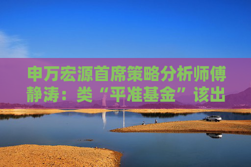申万宏源首席策略分析师傅静涛：类“平准基金”该出手时果断出手有助于及时遏制A股流动性风险白我增强  第1张