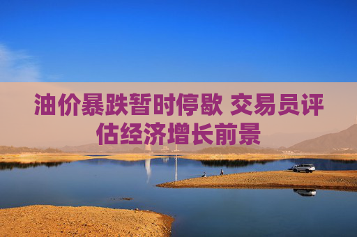 油价暴跌暂时停歇 交易员评估经济增长前景  第1张