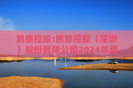 鹏鼎控股:鹏鼎控股（深圳）股份有限公司2024年度监事会工作报告  第1张