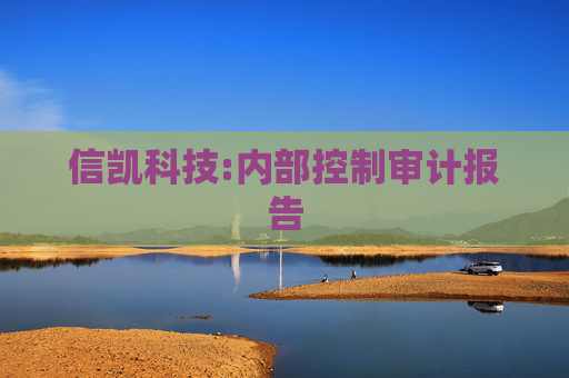 信凯科技:内部控制审计报告  第1张