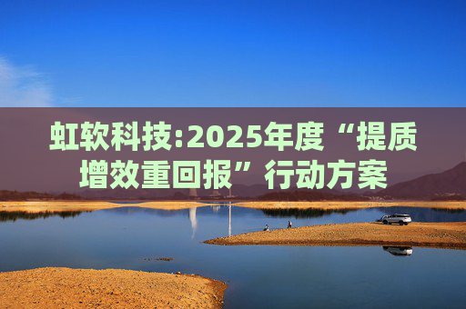 虹软科技:2025年度“提质增效重回报”行动方案  第1张