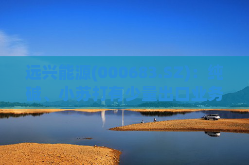 远兴能源(000683.SZ)：纯碱、小苏打有少量出口业务，占比较小