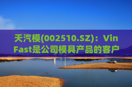 天汽模(002510.SZ)：VinFast是公司模具产品的客户
