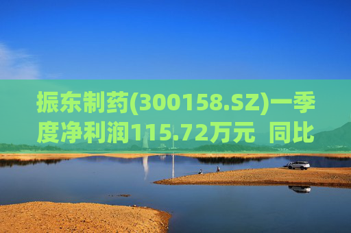 振东制药(300158.SZ)一季度净利润115.72万元  同比减少94.99% 第1张