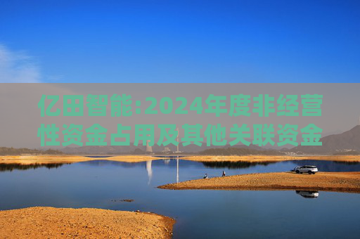 亿田智能:2024年度非经营性资金占用及其他关联资金往来情况的专项报告
