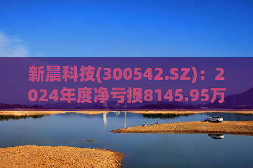 新晨科技(300542.SZ)：2024年度净亏损8145.95万元