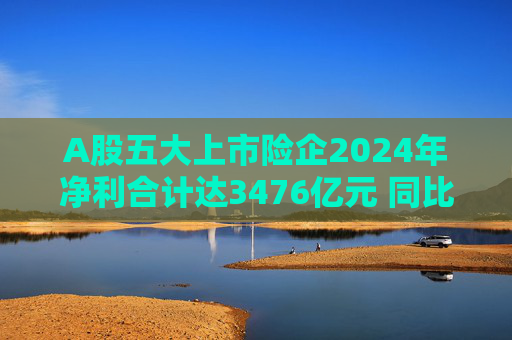 A股五大上市险企2024年净利合计达3476亿元 同比增长近八成  第1张