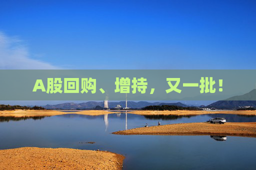 A股回购、增持，又一批！