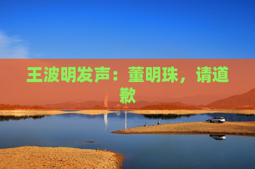 王波明发声：董明珠，请道歉