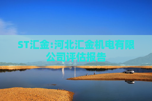 ST汇金:河北汇金机电有限公司评估报告
