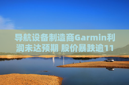 导航设备制造商Garmin利润未达预期 股价暴跌逾11.5%