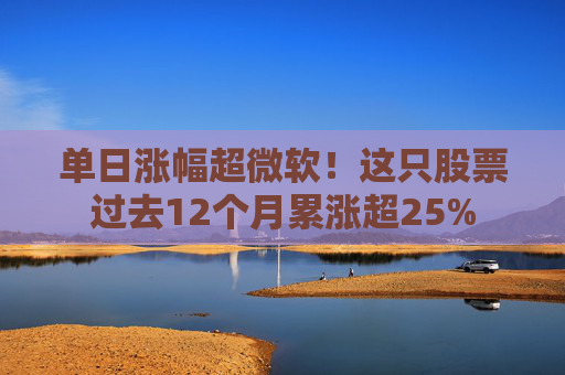 单日涨幅超微软！这只股票过去12个月累涨超25%  第1张
