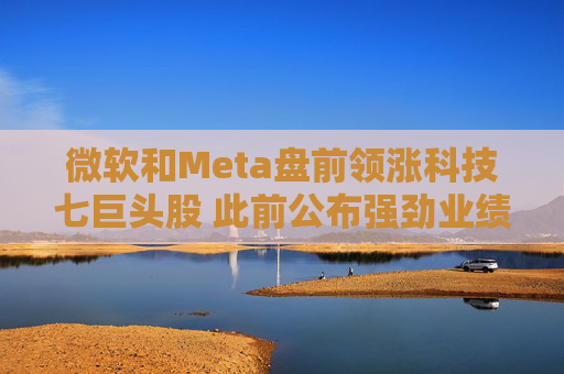 微软和Meta盘前领涨科技七巨头股 此前公布强劲业绩