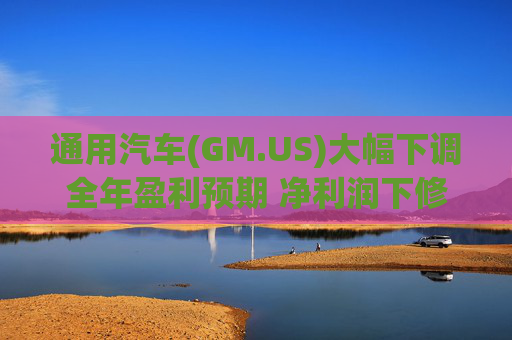 通用汽车(GM.US)大幅下调全年盈利预期 净利润下修至82亿-101亿美元