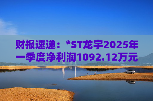 财报速递：*ST龙宇2025年一季度净利润1092.12万元