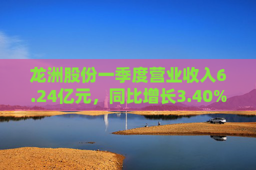 龙洲股份一季度营业收入6.24亿元，同比增长3.40%