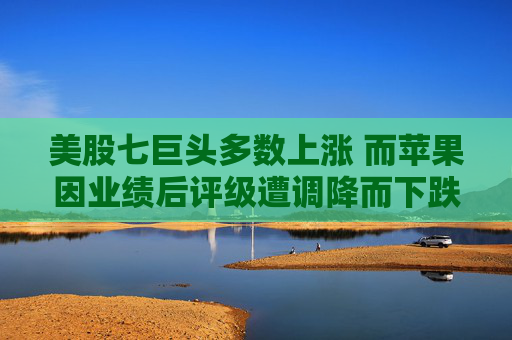 美股七巨头多数上涨 而苹果因业绩后评级遭调降而下跌