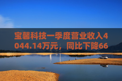 宝馨科技一季度营业收入4044.14万元，同比下降66.73%