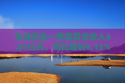 东诚药业一季度营业收入6.87亿元，同比增长6.13%