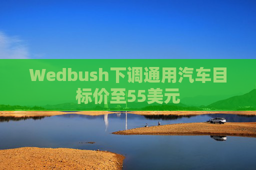 Wedbush下调通用汽车目标价至55美元  第1张