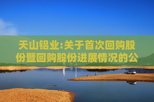 天山铝业:关于首次回购股份暨回购股份进展情况的公告