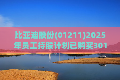 比亚迪股份(01211)2025年员工持股计划已购买301.2万股A股
