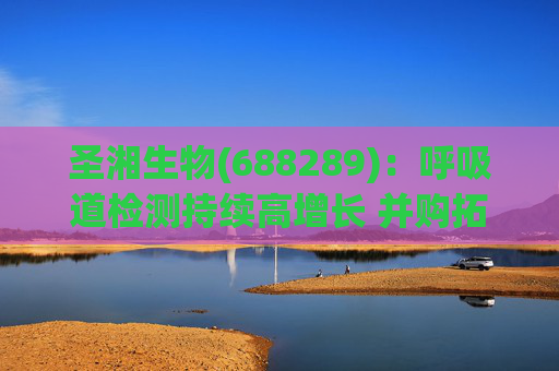 圣湘生物(688289)：呼吸道检测持续高增长 并购拓展成长边界