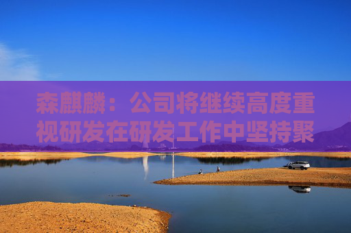 森麒麟：公司将继续高度重视研发在研发工作中坚持聚焦、高效、领先的原则加大研发投入