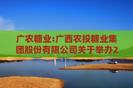 广农糖业:广西农投糖业集团股份有限公司关于举办2024年度网上业绩说明会的公告