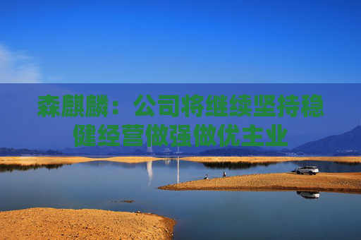 森麒麟：公司将继续坚持稳健经营做强做优主业