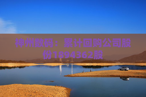 神州数码：累计回购公司股份1894362股