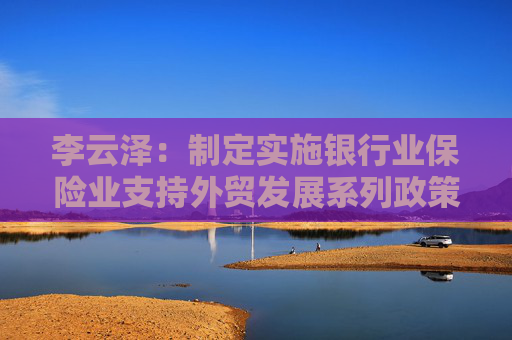 李云泽：制定实施银行业保险业支持外贸发展系列政策措施