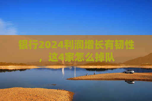 银行2024利润增长有韧性，这4家怎么掉队