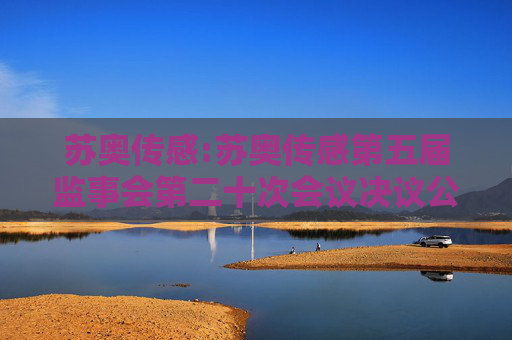 苏奥传感:苏奥传感第五届监事会第二十次会议决议公告