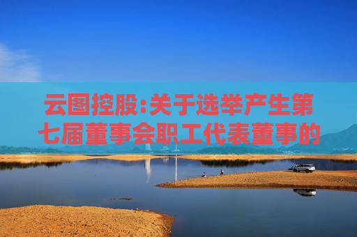 云图控股:关于选举产生第七届董事会职工代表董事的公告