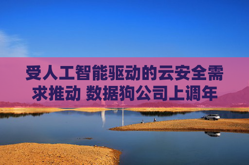 受人工智能驱动的云安全需求推动 数据狗公司上调年度营收预期