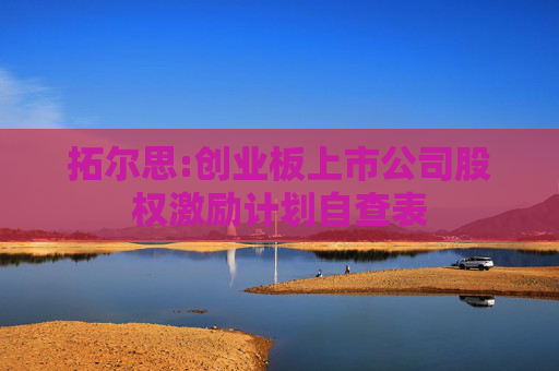 拓尔思:创业板上市公司股权激励计划自查表