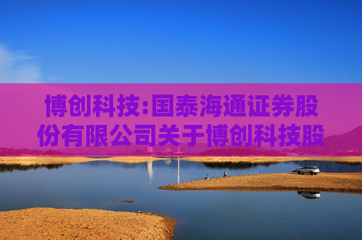 博创科技:国泰海通证券股份有限公司关于博创科技股份有限公司使用闲置自有资金进行委托理财的核查意见  第1张