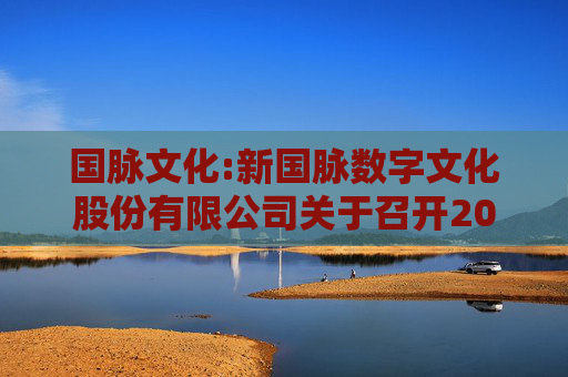 国脉文化:新国脉数字文化股份有限公司关于召开2024年度暨2025年第一季度业绩说明会的公告