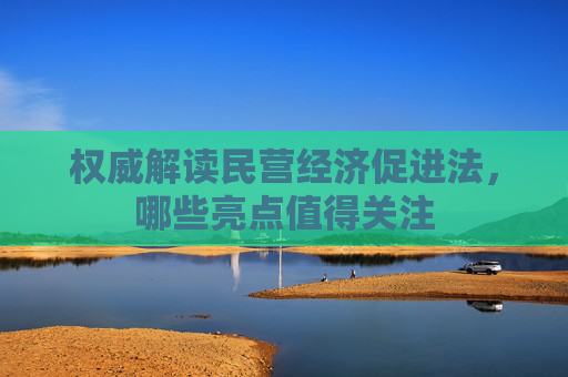 权威解读民营经济促进法，哪些亮点值得关注