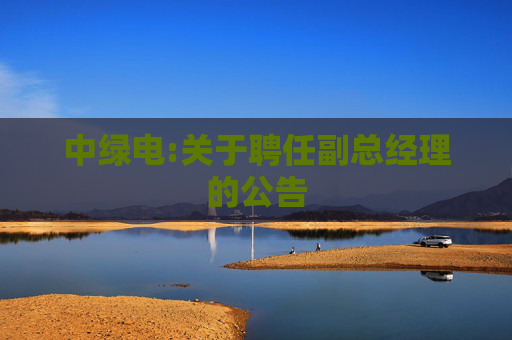 中绿电:关于聘任副总经理的公告
