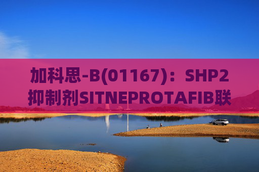加科思-B(01167)：SHP2抑制剂SITNEPROTAFIB联用研究数据发表于学术期刊