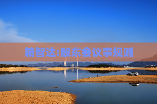 精智达:股东会议事规则