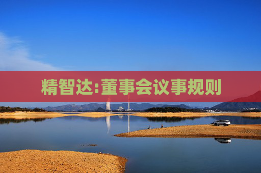 精智达:董事会议事规则