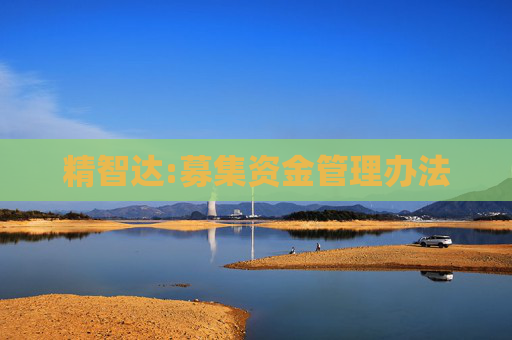 精智达:募集资金管理办法