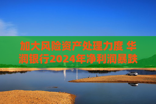 加大风险资产处理力度 华润银行2024年净利润暴跌近七成