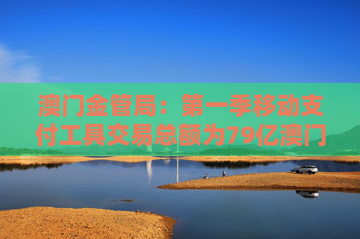 澳门金管局：第一季移动支付工具交易总额为79亿澳门元 同比上升8.7%