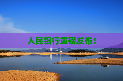 人民银行重磅发布！