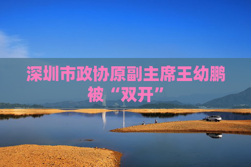 深圳市政协原副主席王幼鹏被“双开”  第1张
