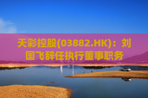 天彩控股(03882.HK)：刘国飞辞任执行董事职务  第1张